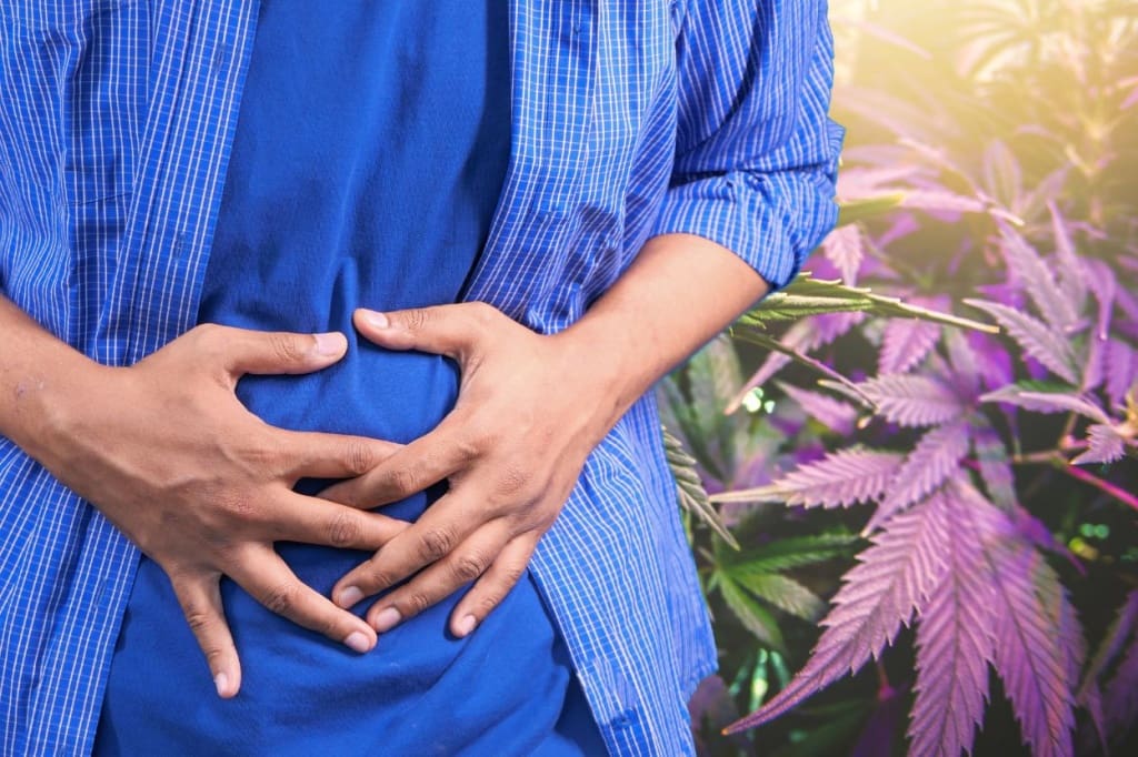 cannabis and gut health